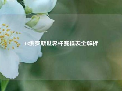 18俄罗斯世界杯赛程表全解析