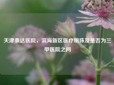 天津泰达医院，滨海新区医疗明珠及是否为三甲医院之问