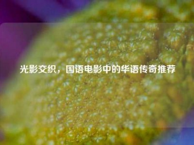 光影交织，国语电影中的华语传奇推荐