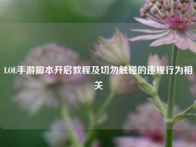 LOL手游脚本开启教程及切勿触碰的违规行为相关