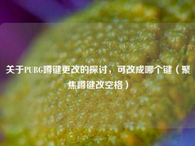 关于PUBG蹲键更改的探讨，可改成哪个键（聚焦蹲键改空格）