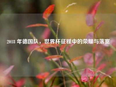 2018 年德国队，世界杯征程中的荣耀与落寞