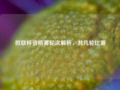 欧联杯资格赛轮次解析，共几轮比赛