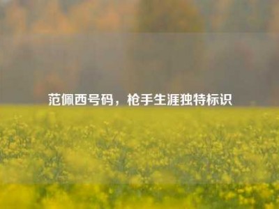 范佩西号码，枪手生涯独特标识