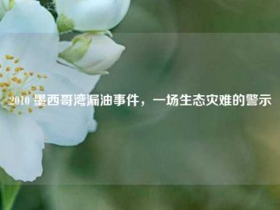 2010 墨西哥湾漏油事件，一场生态灾难的警示
