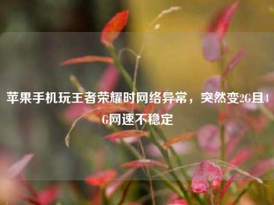 苹果手机玩王者荣耀时网络异常，突然变2G且4G网速不稳定