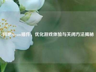 网吧Steam插件，优化游戏体验与关闭     揭秘