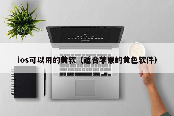ios可以用的黄软(适合苹果的黄色软件)