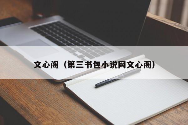 文心阁(第三书包小说网文心阁)