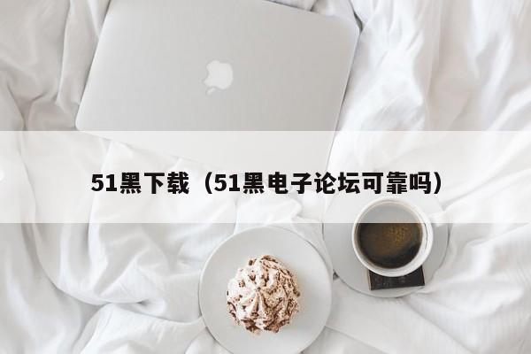 51黑下载(51黑电子论坛可靠吗)