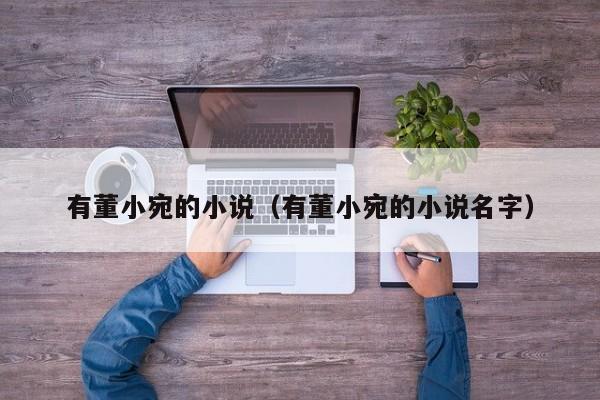 有董小宛的小说(有董小宛的小说名字)