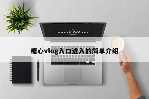 糖心vlog入口进入的简单介绍