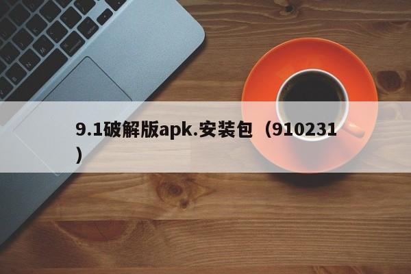 9.1破解版apk.安装包(910231)