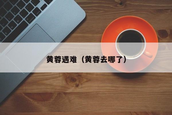 黄蓉遇难(黄蓉去哪了)