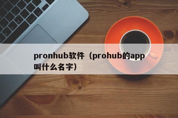 pronhub软件(prohub的app叫什么名字)