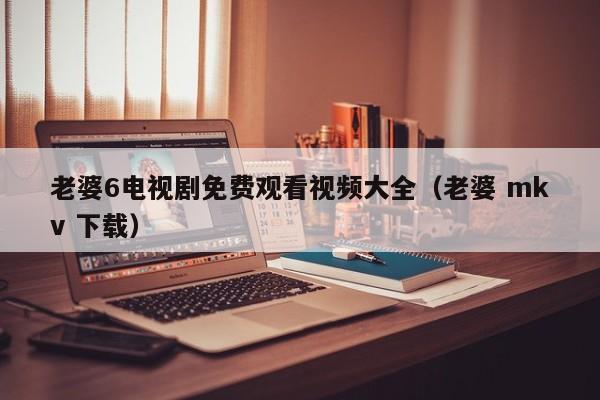 老婆6电视剧免费观看视频大全(老婆 mkv 下载)