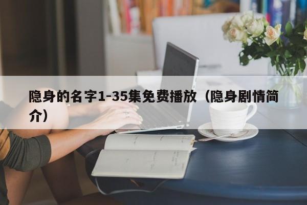 隐身的名字1-35集免费播放(隐身剧情简介)