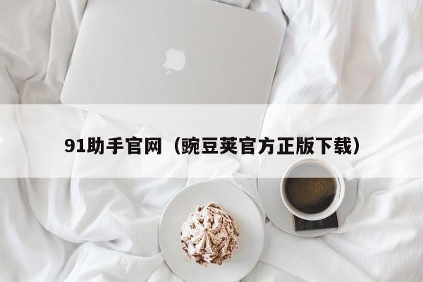 91助手官网(豌豆荚官方正版下载)