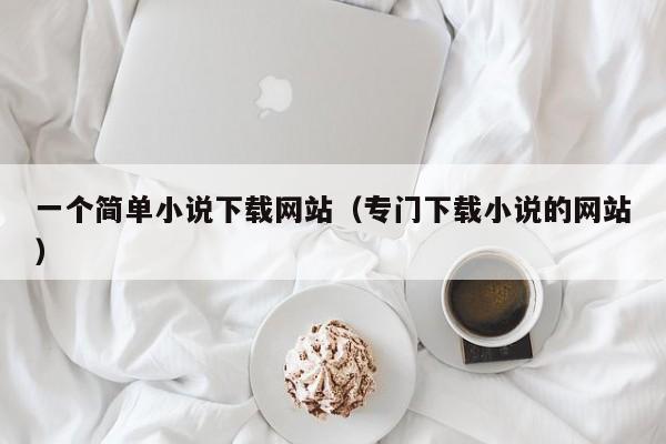 一个简单小说下载网站(专门下载小说的网站)