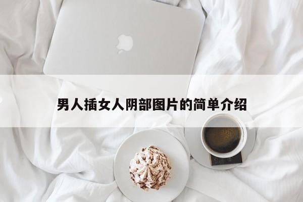 男人插女人阴部图片的简单介绍