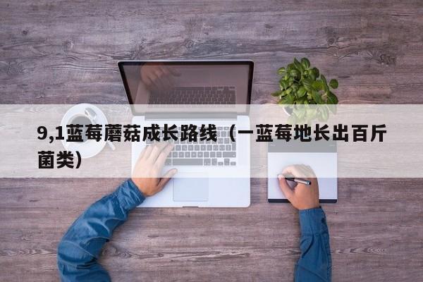 9,1蓝莓蘑菇成长路线(一蓝莓地长出百斤菌类)