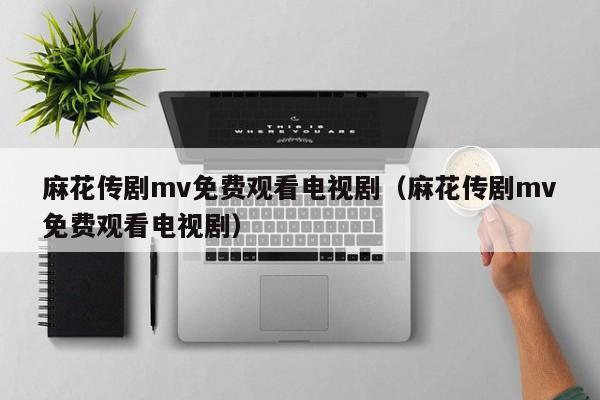 麻花传剧mv免费观看电视剧(麻花传剧mv免费观看电视剧)