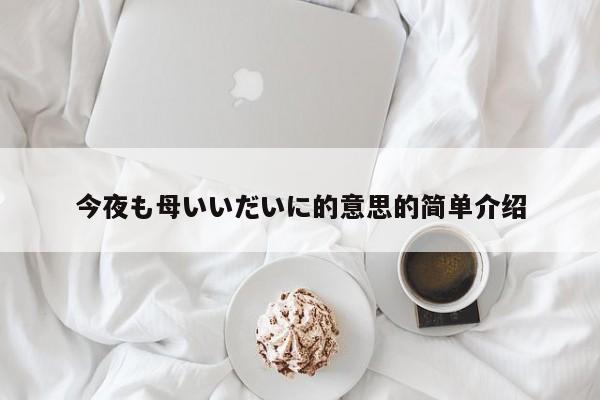 今夜も母いいだいに的意思的简单介绍
