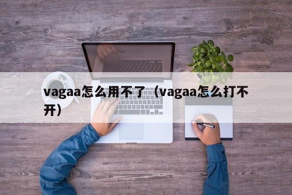 vagaa怎么用不了(vagaa怎么打不开)