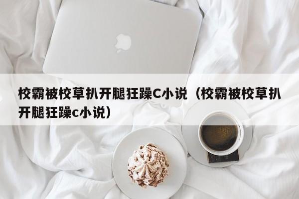 校霸被校草扒开腿狂躁C小说(校霸被校草扒开腿狂躁c小说)