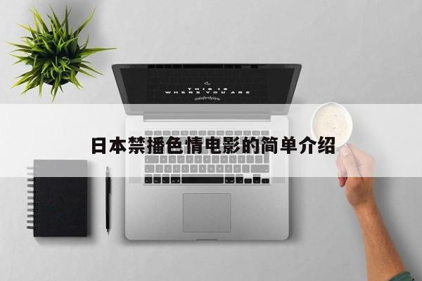 日本禁播色情电影的简单介绍