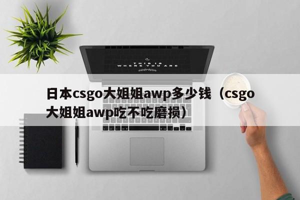 日本csgo大姐姐awp多少钱(csgo大姐姐awp吃不吃磨损)