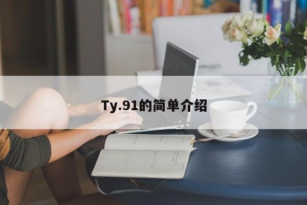 Ty.91的简单介绍