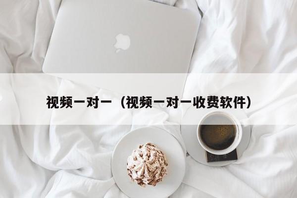 视频一对一(视频一对一收费软件)