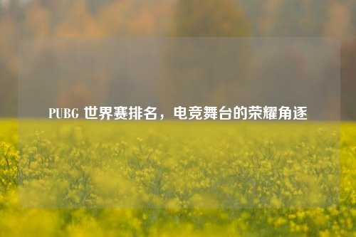 PUBG 世界赛排名,电竞舞台的荣耀角逐