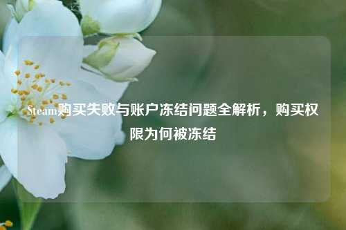 Steam购买失败与账户冻结问题全解析,购买权限为何被冻结