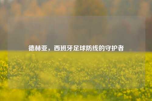 德赫亚,西班牙足球防线的守护者