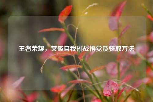 王者荣耀,突破自我挑战悟觉及获取