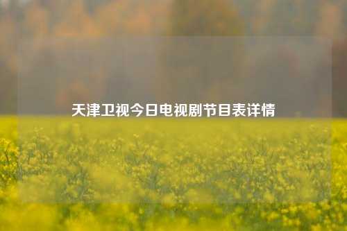 天津卫视今日电视剧节目表详情