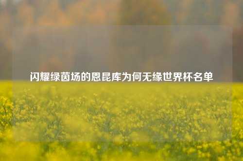 闪耀绿茵场的恩昆库为何无缘世界杯名单