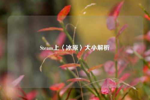 Steam上〈冰原〉大小解析