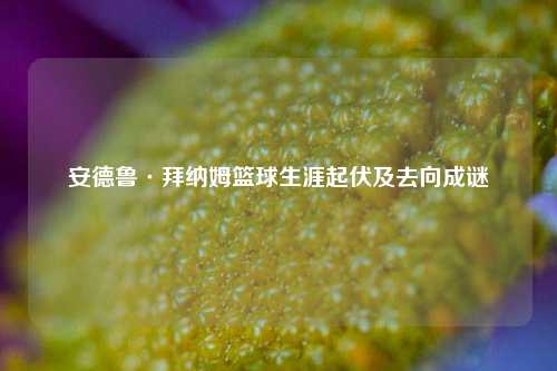 安德鲁·拜纳姆篮球生涯起伏及去向成谜