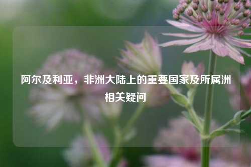 阿尔及利亚,非洲大陆上的重要国家及所属洲相关疑问
