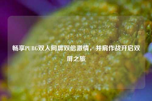 畅享PUBG双人同屏双倍 ,并肩作战开启双屏之旅