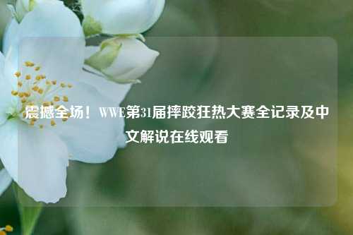 震撼全场!WWE第31届摔跤狂热大赛全记录及中文解说在线观看