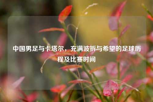 中国男足与卡塔尔,充满波折与希望的足球历程及比赛时间