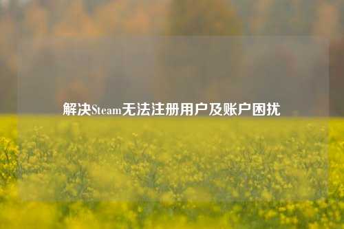 解决Steam无法注册用户及账户困扰