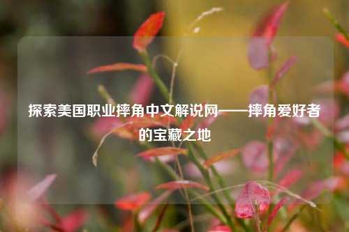 探索美国职业摔角中文解说网——摔角爱好者的宝藏之地