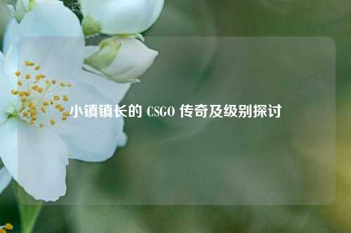 小镇镇长的 CSGO 传奇及级别探讨
