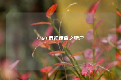 CSGO 猎神传奇之猎户