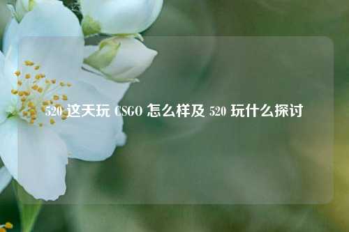 520 这天玩 CSGO 怎么样及 520 玩什么探讨